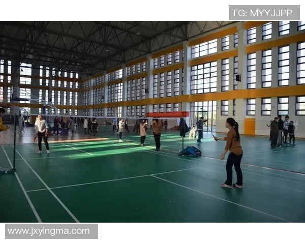 深圳羽毛球队比赛经验分享与提升策略的深入探讨