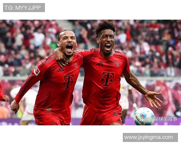 拜仁慕尼黑对阵门兴格拉德巴赫最新战术分析与球员表现评估