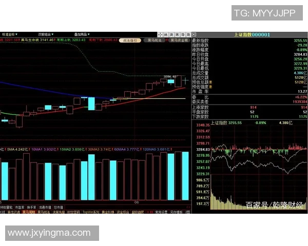 重庆网球队防守策略分析及其在比赛中的成效评估 重庆网球队防守策略分析及其在比赛中的成效评估